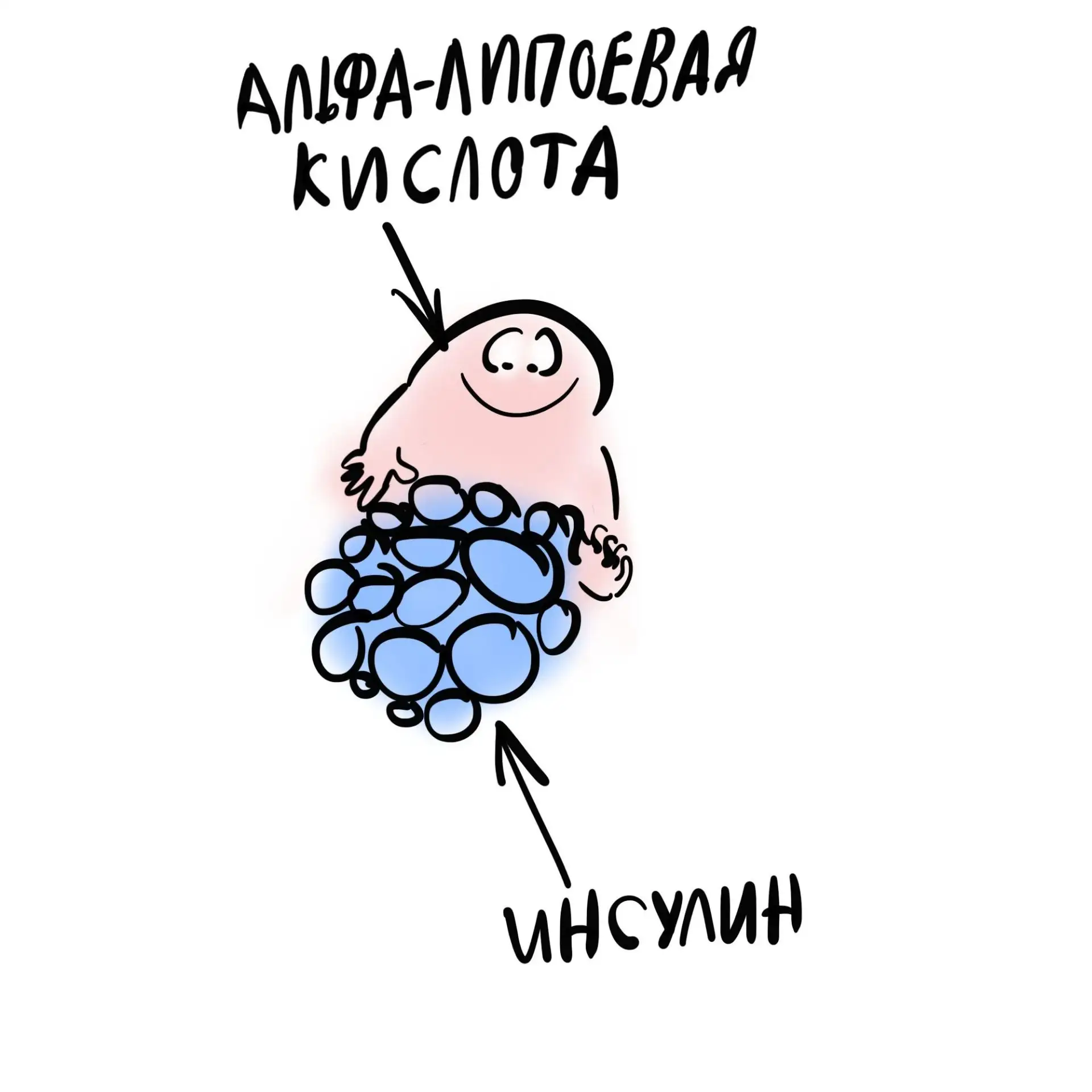 Про альфа-липоевую кислоту из капельницы красоты, и как она вызывает судороги или может сделать анти