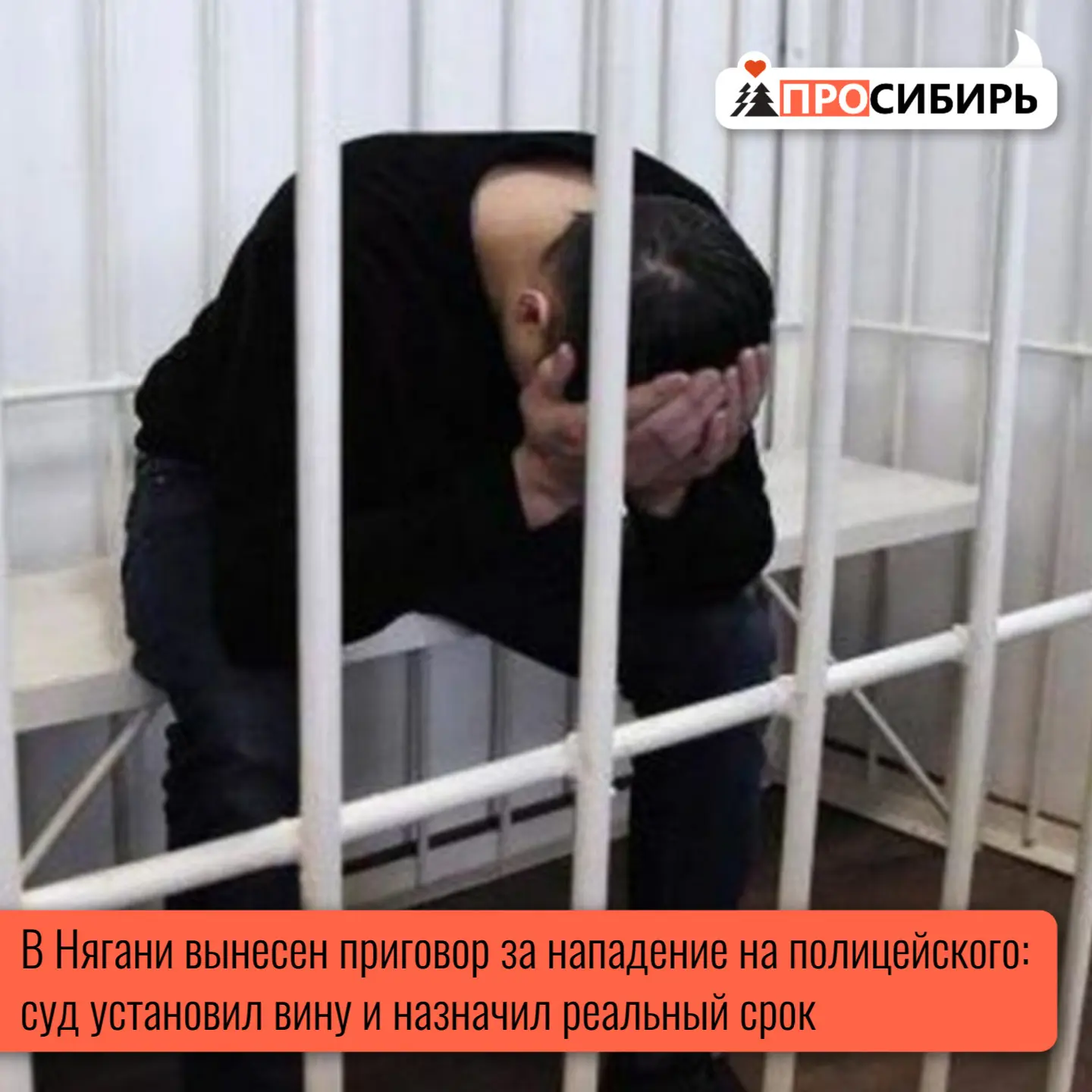 Няганский городской суд признал 41‑летнего местного жителя виновным в применении насили...