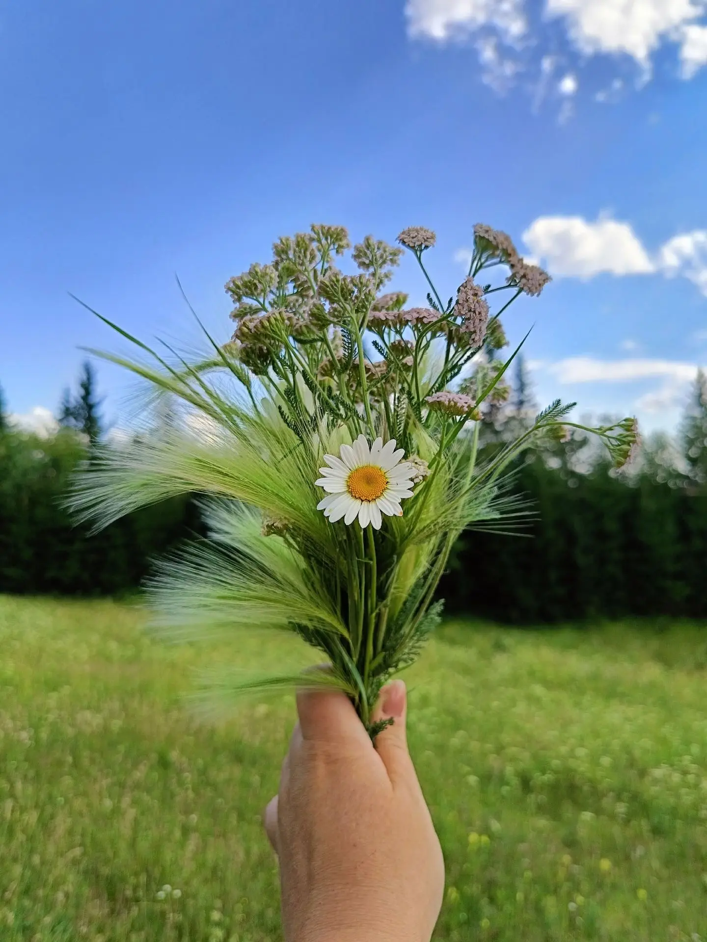 С добрым утром, дорогие друзья! 🌞

Последняя июльская пятница — такой особенный день: будто лето чу
