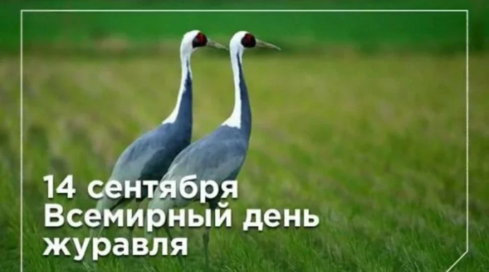 💥Будни #вДетскомСаду⚽🧸📚
