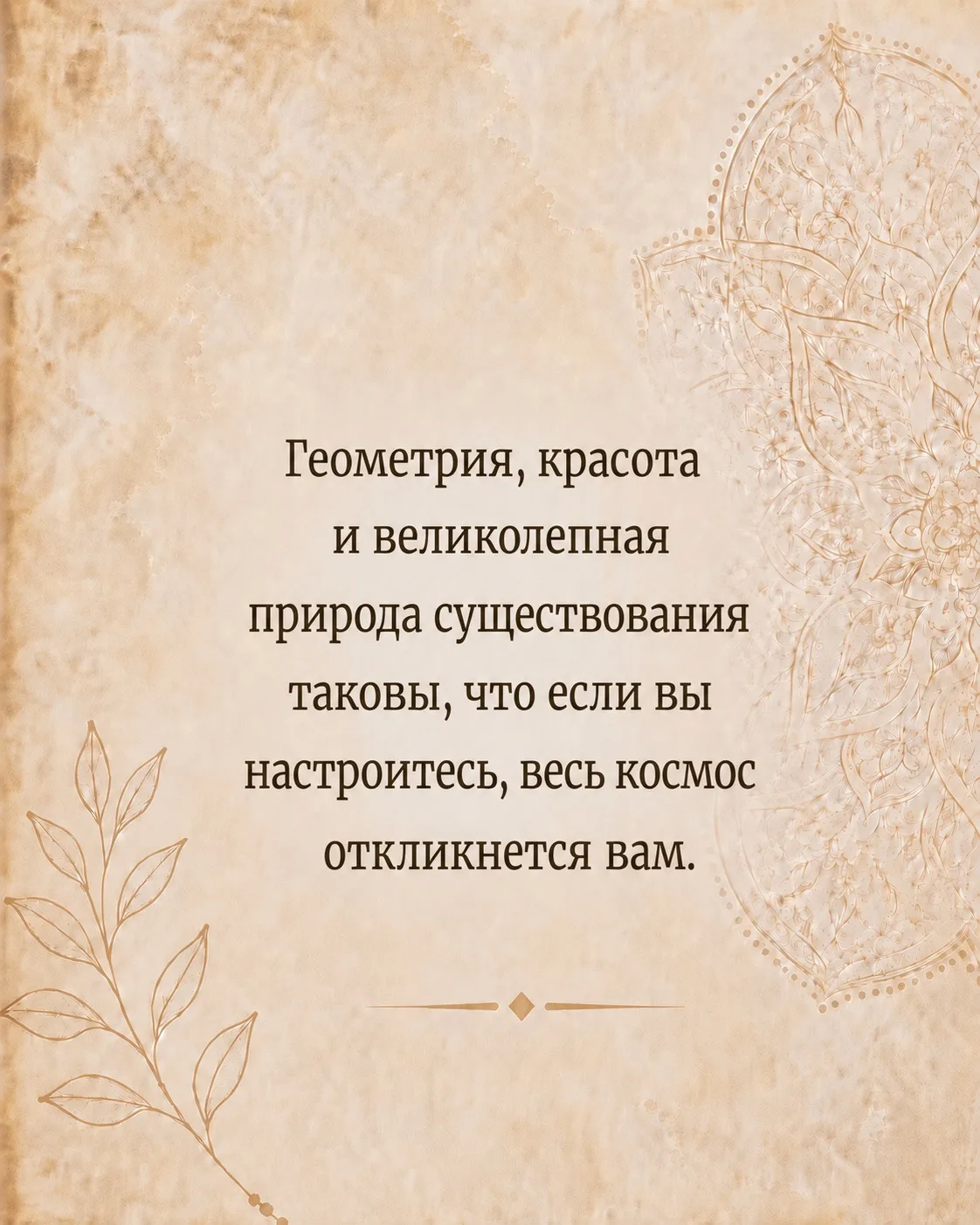 Больше цитат