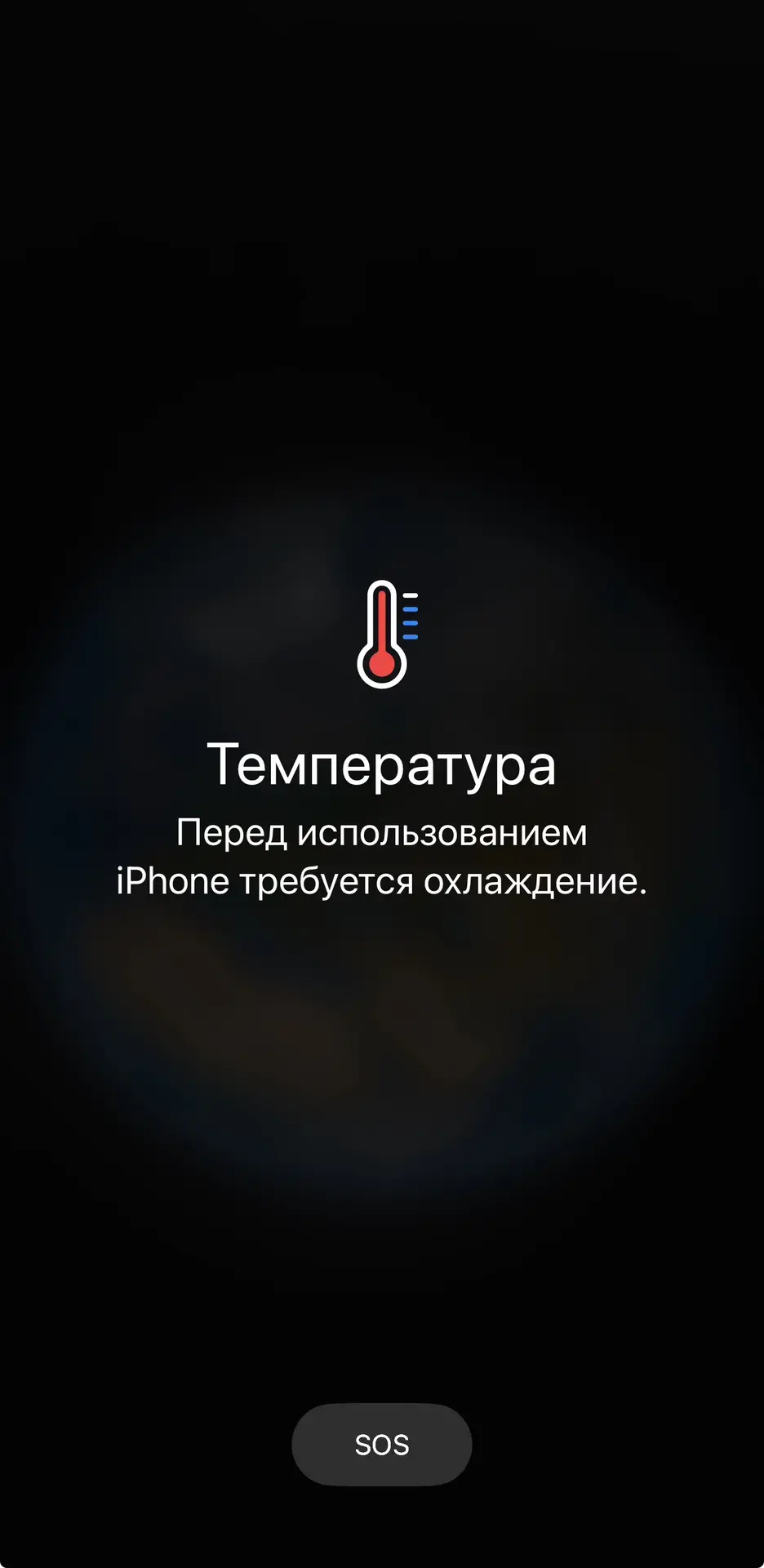 В этот жаркий день мы все вместе выбрались погулять и пить холодные лимонады🥤 

Неделя с тремя деть