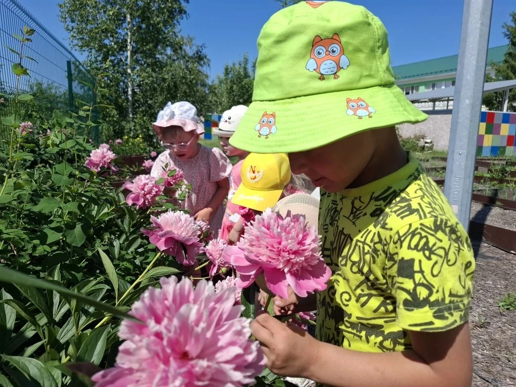 Юные натуралисты в деле: наблюдаем за пионами 🌸