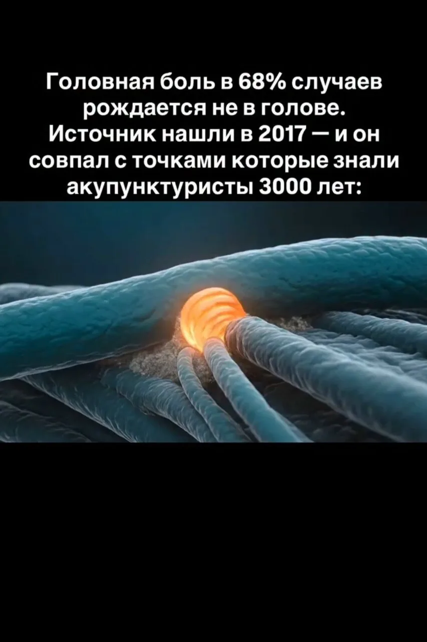 Ты принимаешь таблетку от головы. А болит — шея.