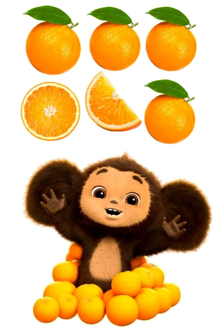 🍊 Сегодня день рождения Чебурашки! И он заглянул к нам в гости! 🥳