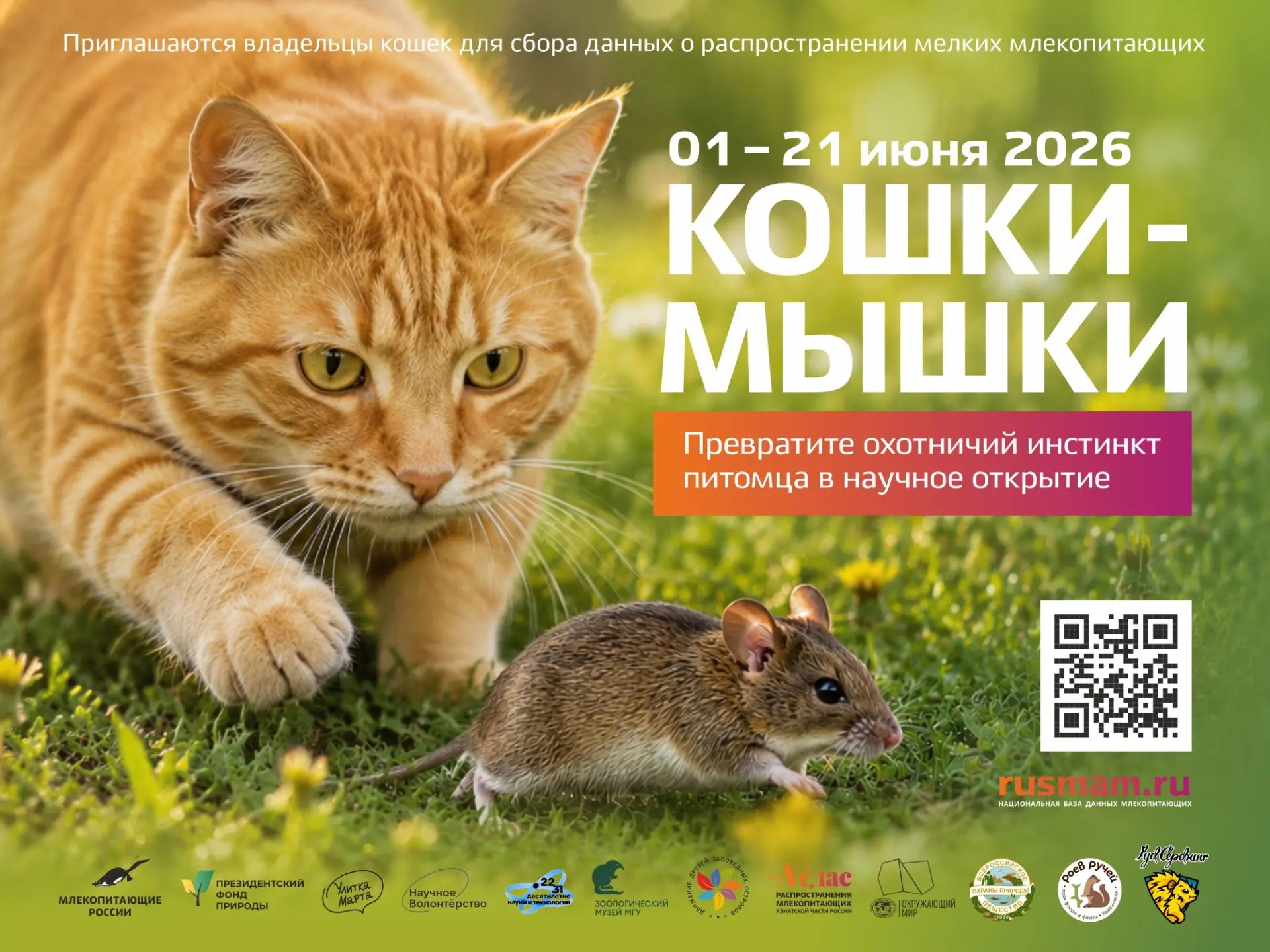 Хозяева кошек могут помочь в изучении распространения малоизученных животных, которых д...