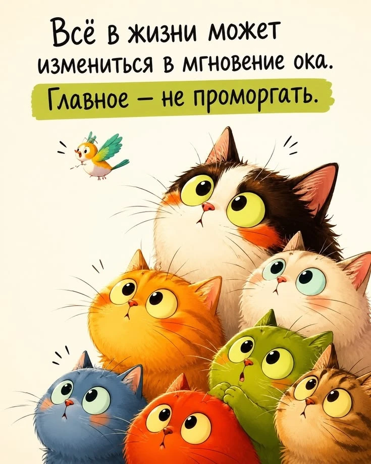 #цитаты
