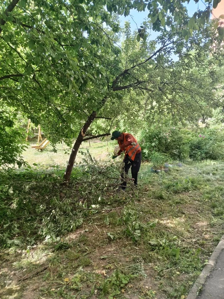 В рамках благоустройства территорий проводим санитарную обрезку деревьев: выполняем вырезку сухих су