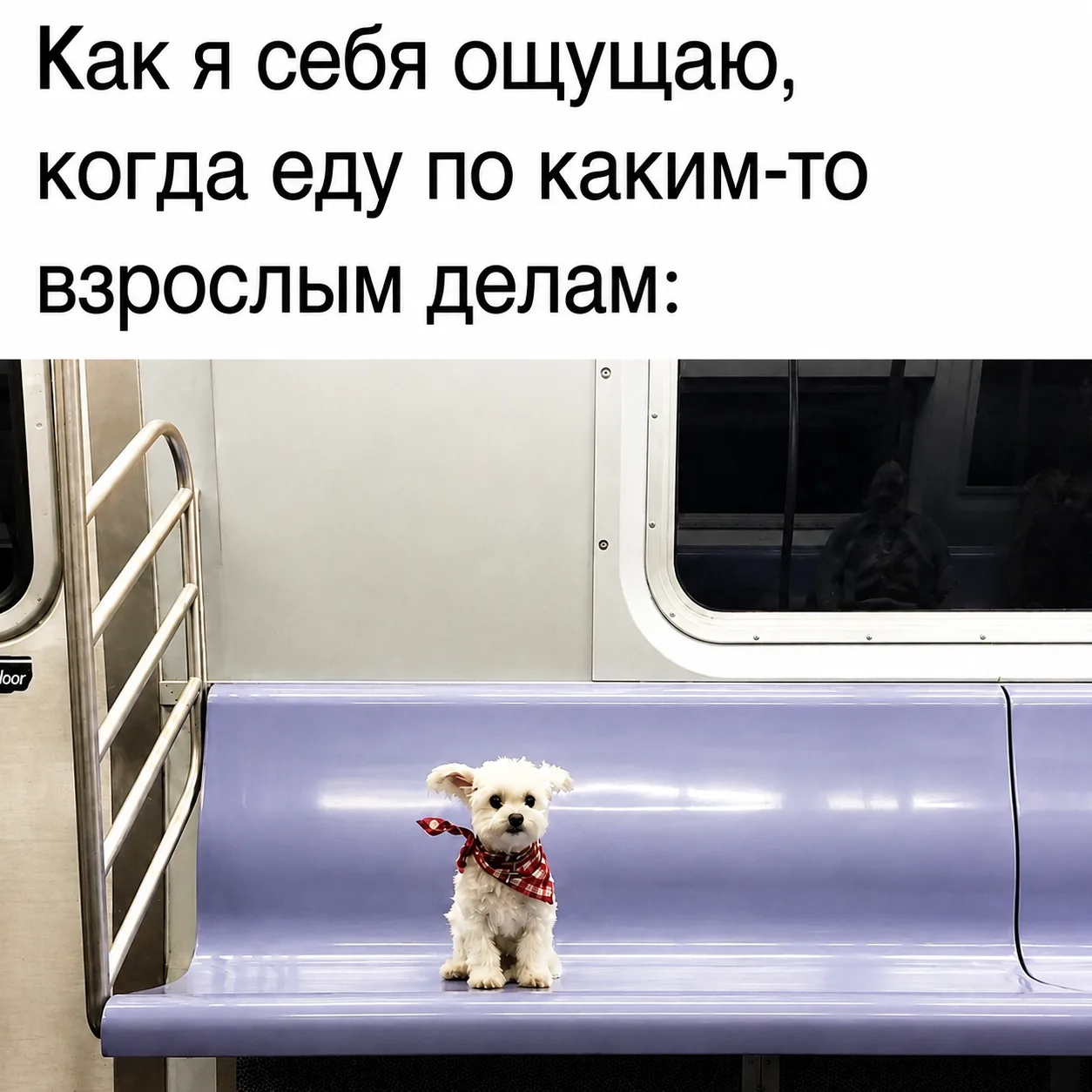 Выгляжу мило, планы имею стратегические. 

Всем доброго утра!)