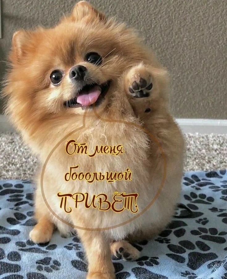 👋 #привет