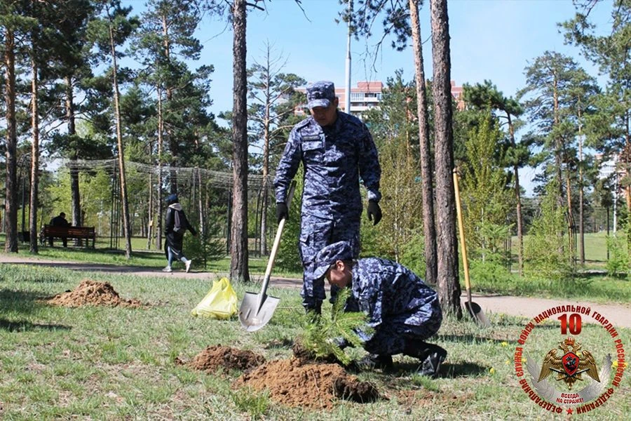 На Дальнем Востоке росгвардейцы приняли участие в высадке деревьев в городских парках   📢 В Бурятии 