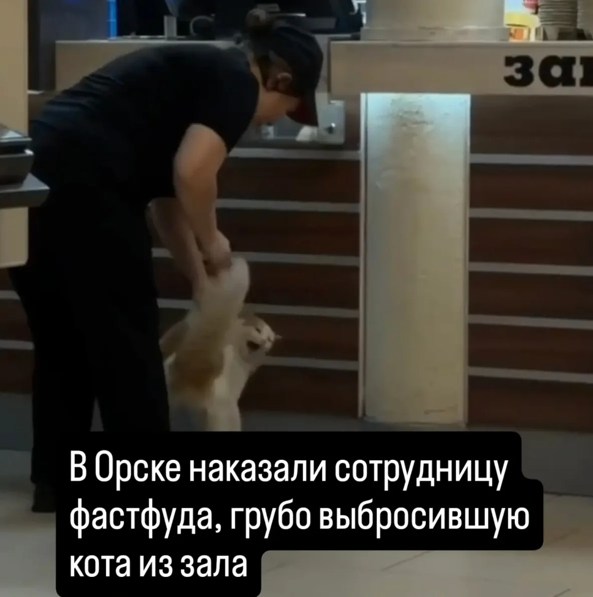 В Орске наказали сотрудницу фастфуда, грубо выбросившую кота из зала