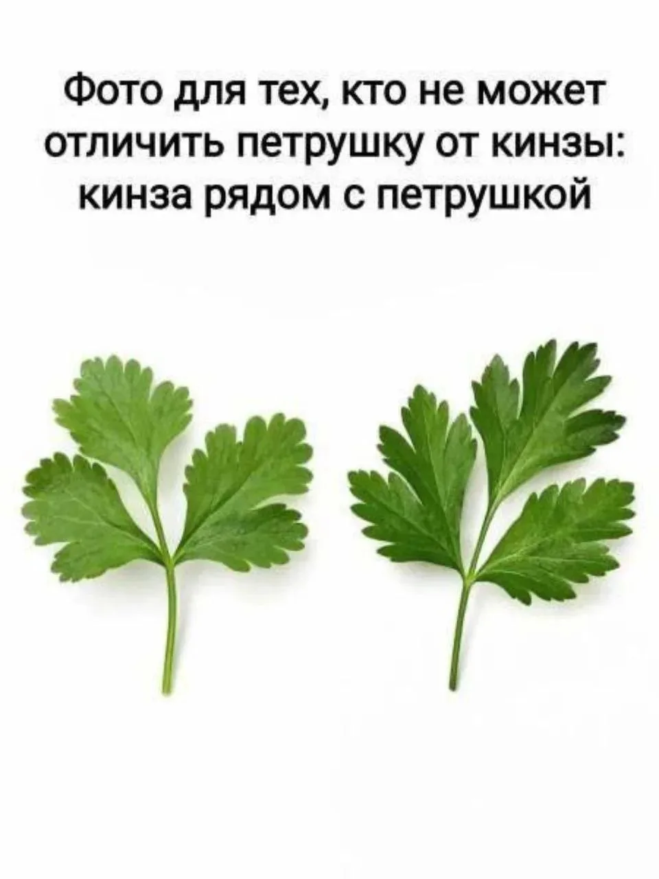 И для настроения 🤣🤣