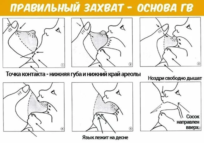 Грудное (естественное) вскармливание — это питание ребёнка грудным молоком матери. Педи...