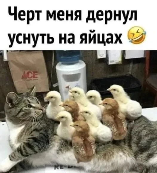 Так тоже бывает