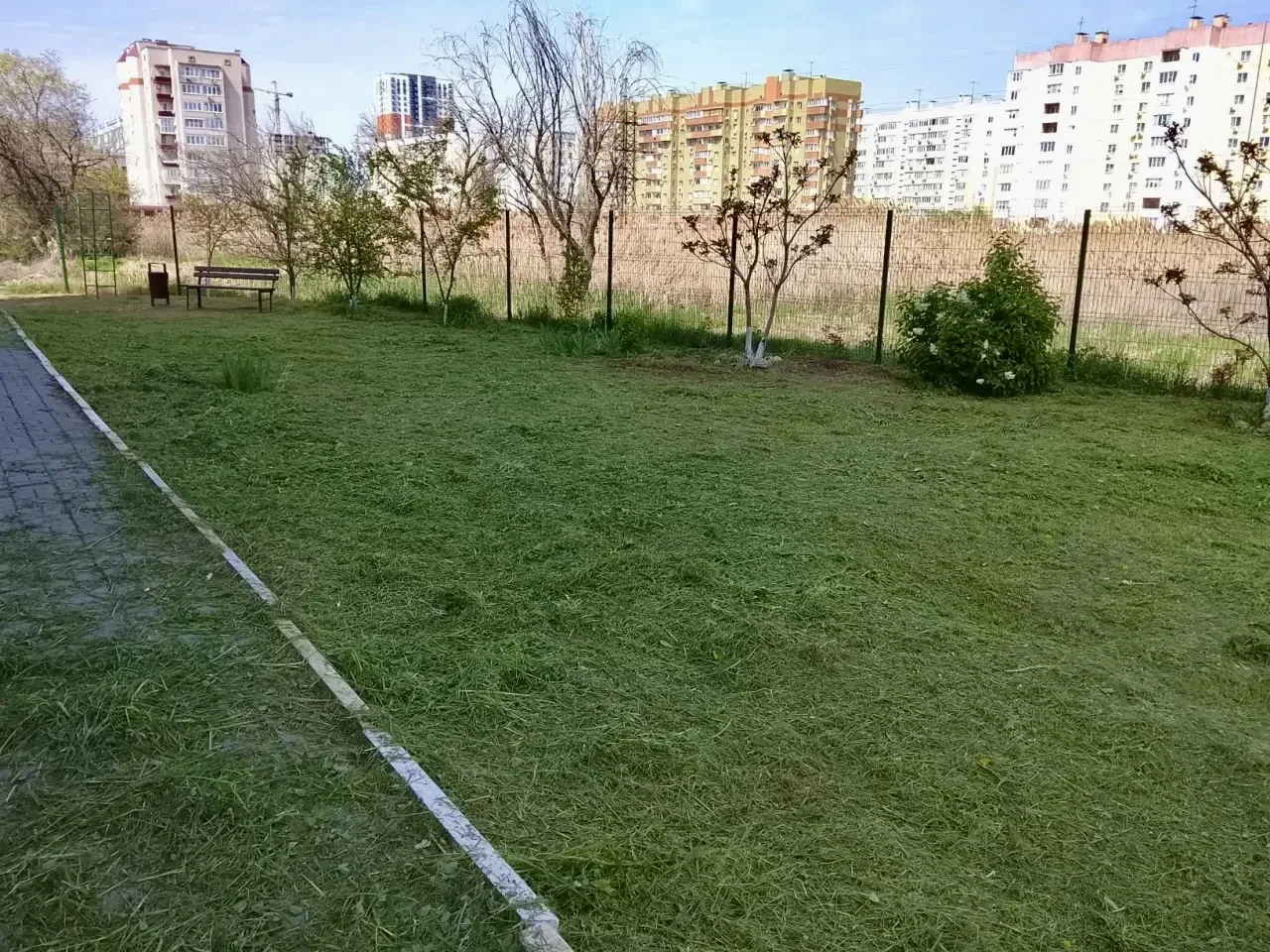 К новости «🌾 Летний сезон: трава под контролем!»