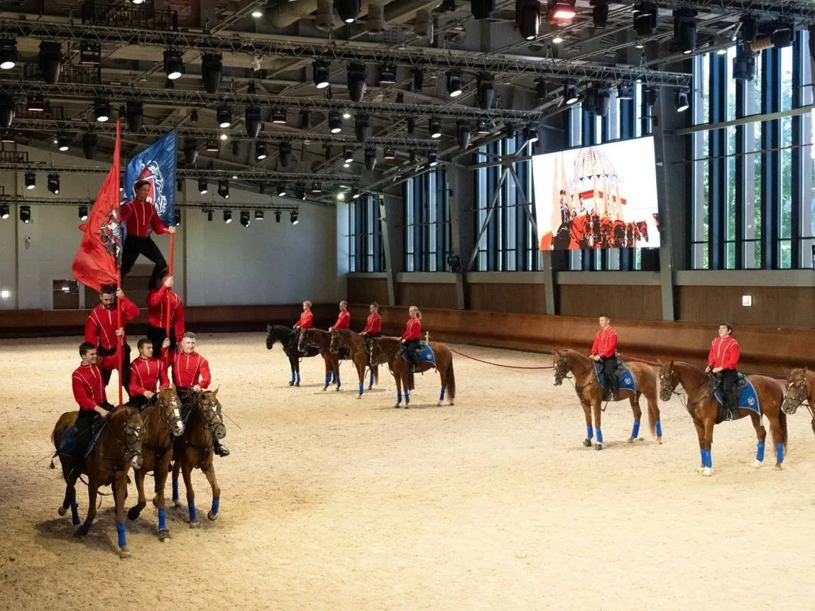 🐴 Бесплатно смотрим тренировки в конном манеже