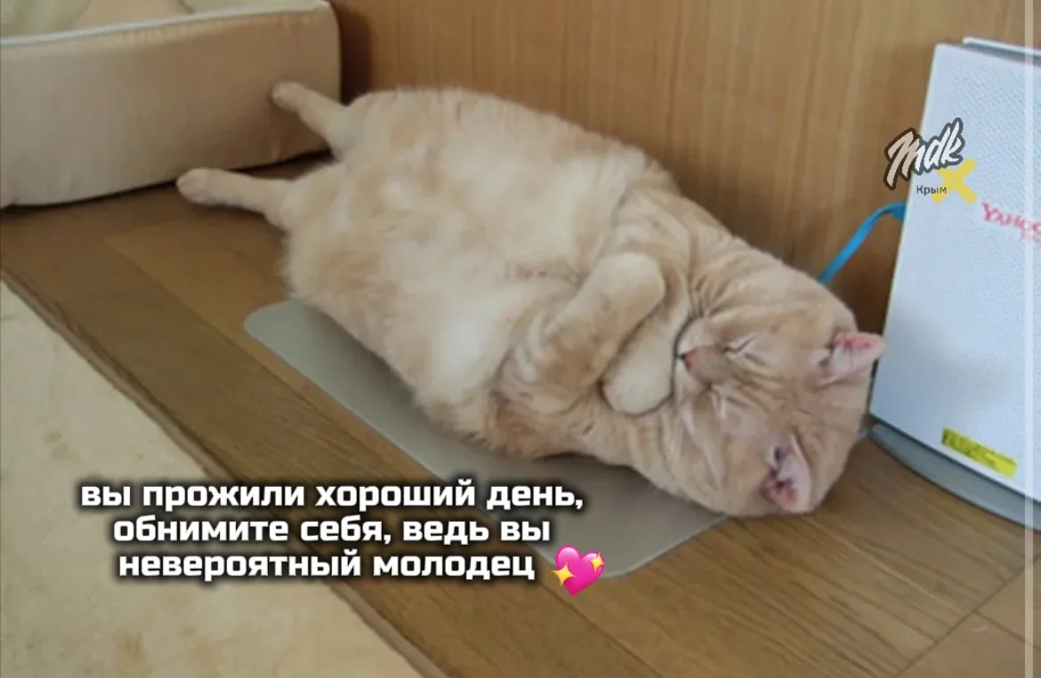 Если сегодня никто не сказал, что вы молодец, мы скажем — вы молодец 🫶🏻