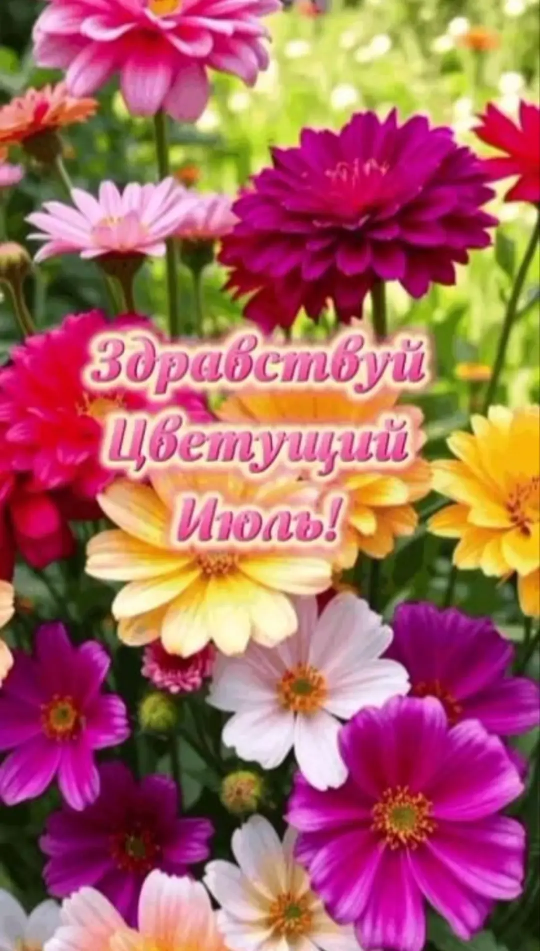 С первым днём июля!!!