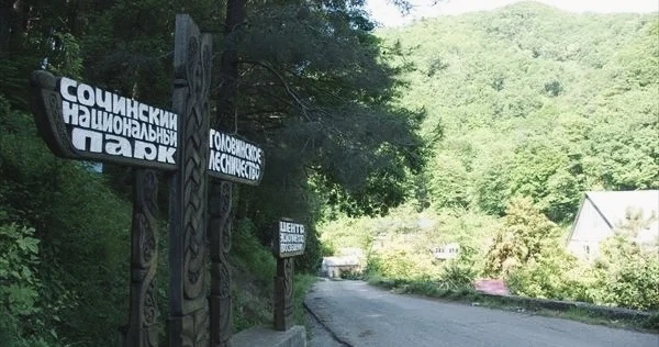 🌲 Сочинский национальный парк
