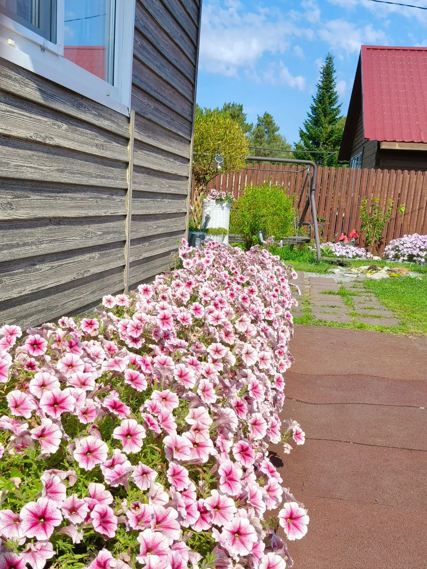 Всем солнечного настроения ☀️