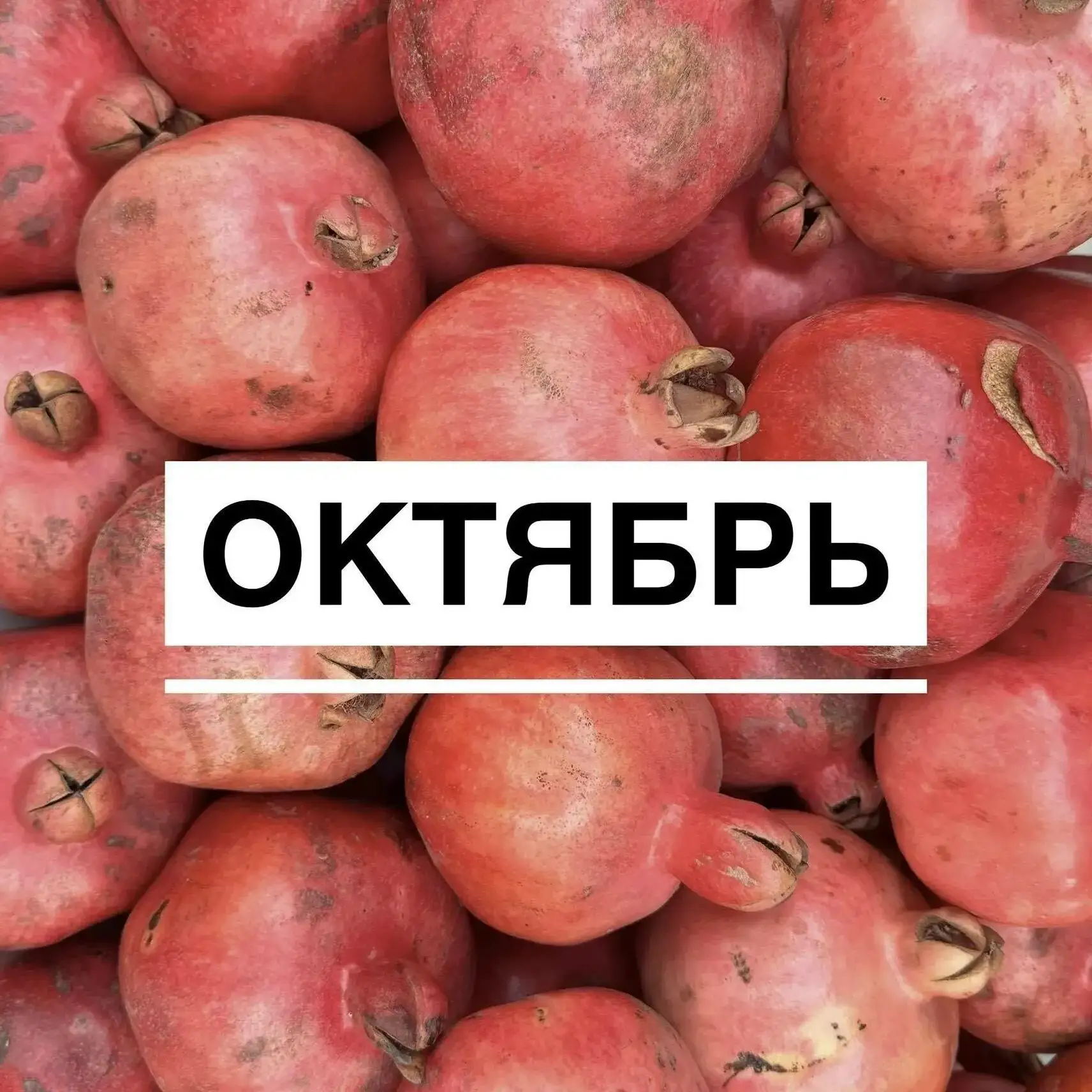 ПОЕЗДКИ в ОКТЯБРЕ🍂