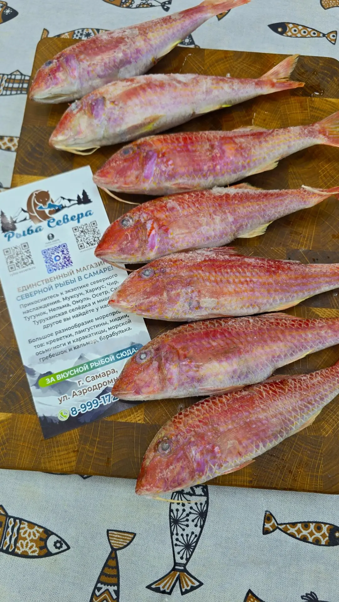 🌊 БАРАБУЛЬКА ОКЕАНИЧЕСКАЯ 🐟