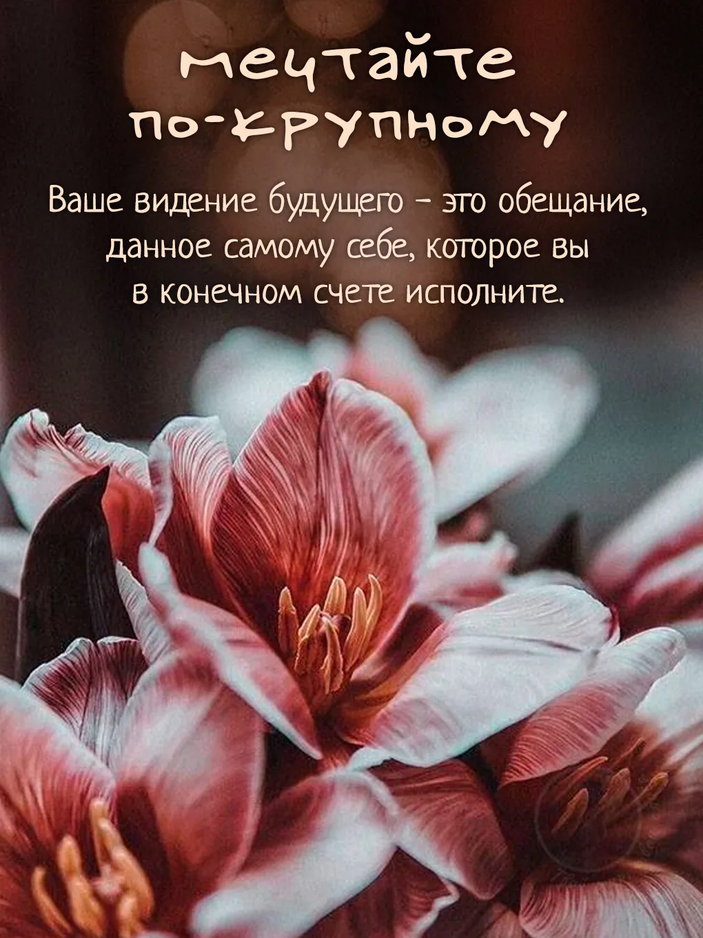 Твой мир, твои слова