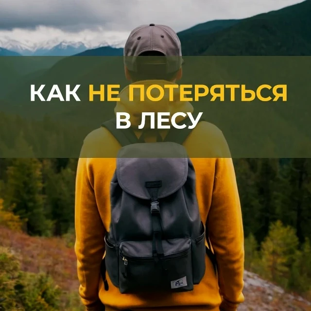 #длявсегокрая

Лето — время звать друзей в поход! Но даже в родном лесу важно помнить — природа люби