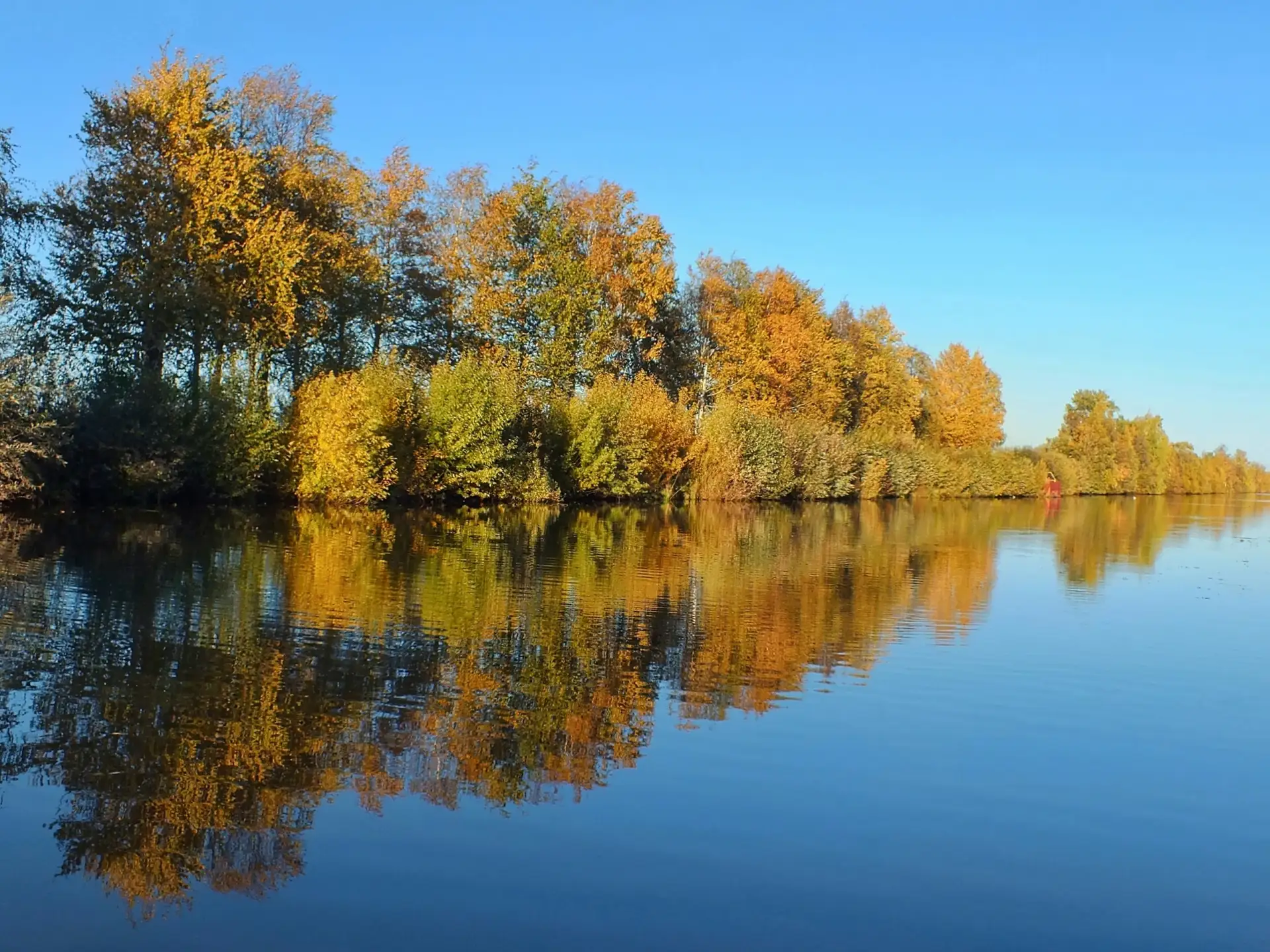 Осень в отражении...🍂🩵