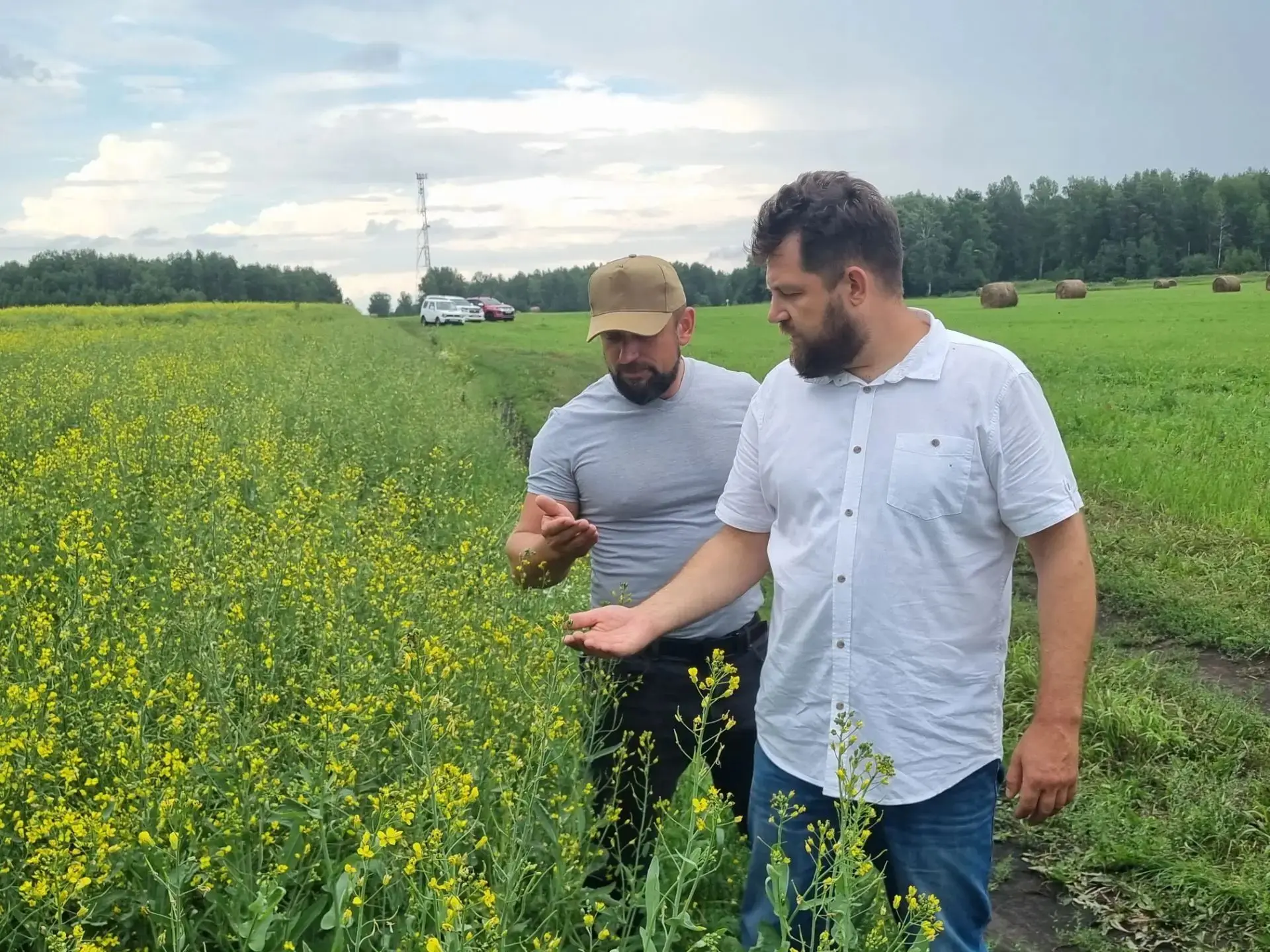 День поля на ирбейской земле
