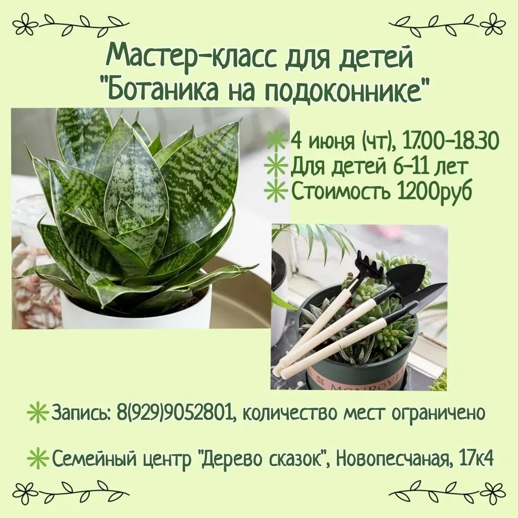 Лето - пора открытий для юных почемучек.Как найти ответы на бесконечные «почему» о мире...