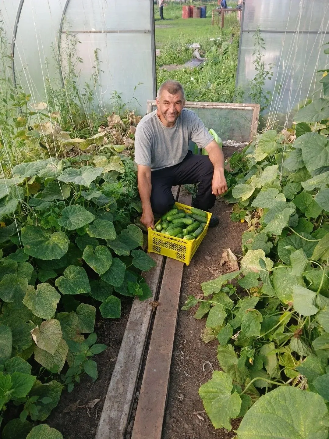 Урожай пошёл! У нас — своя гордость и радость. 🥬🍅🥒⁣
Наши ребята дождались: начали собирать  урожа
