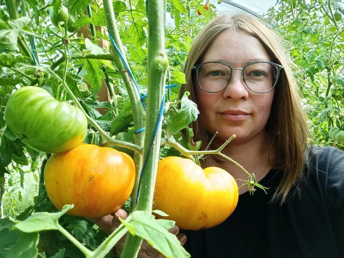 «Обед Влюблённых». Сахаристый томат, который покорил меня вкусом и красотой