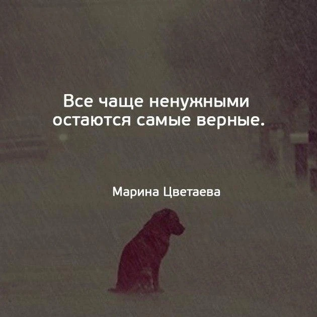 Мудрые Слова ✨