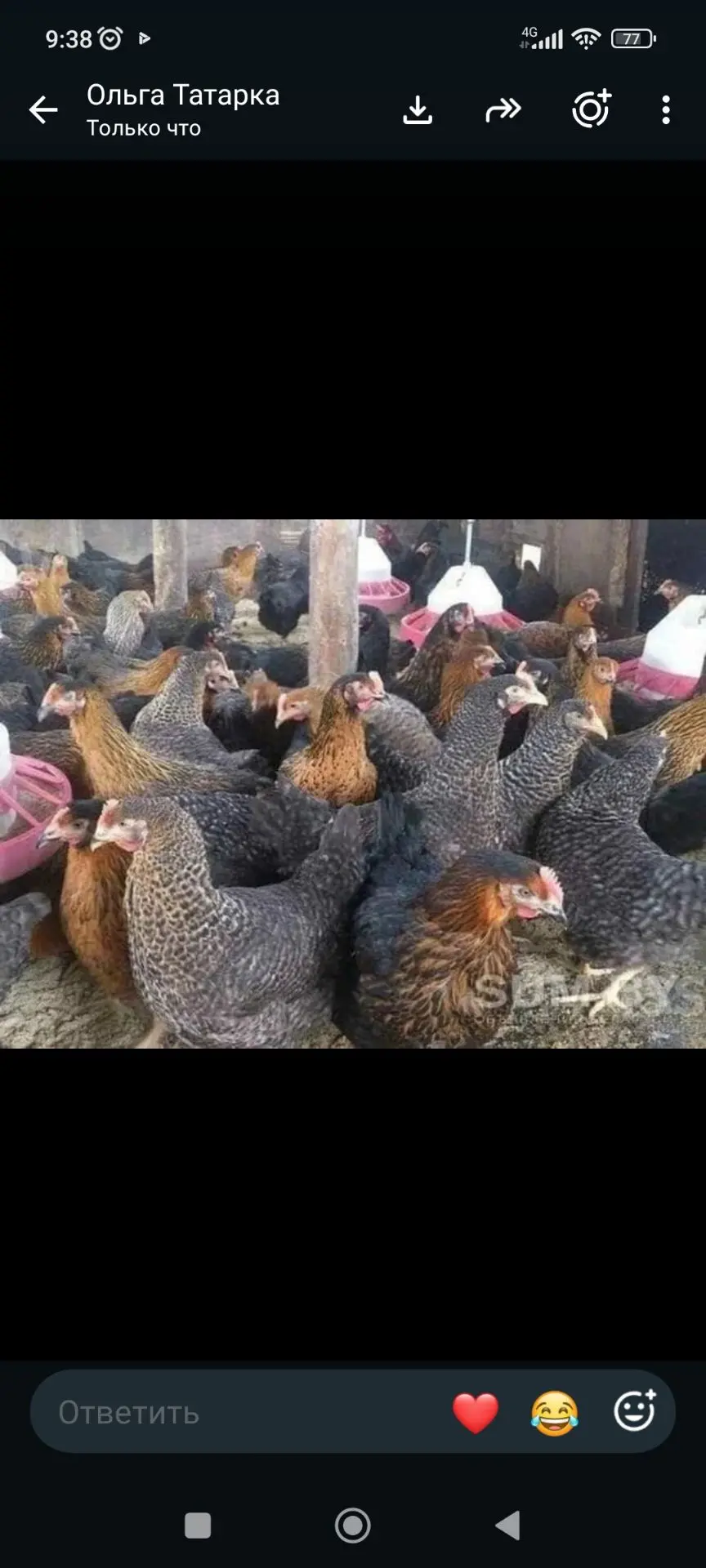 Молодежные движения Кузбасса объединяют десятки тысяч молодых людей самого разного возр...