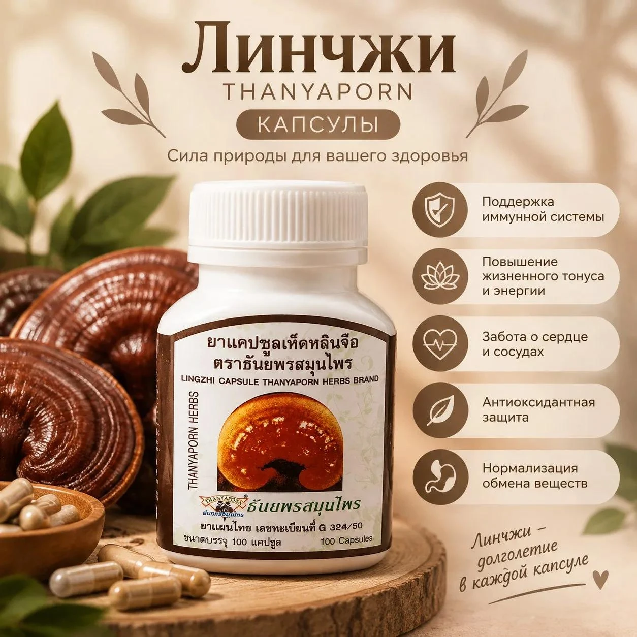 🍄✨ ЛИНЧЖИ = РЕЙШИ = ГАНОДЕРМА ✨🍄