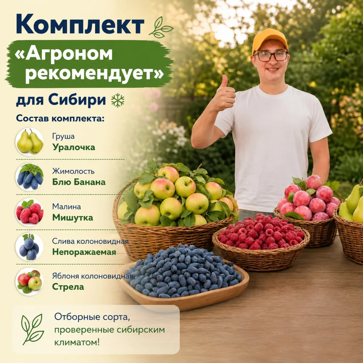 Изображение 3 к публикации «Гарденмарт - семена и саженцы»
