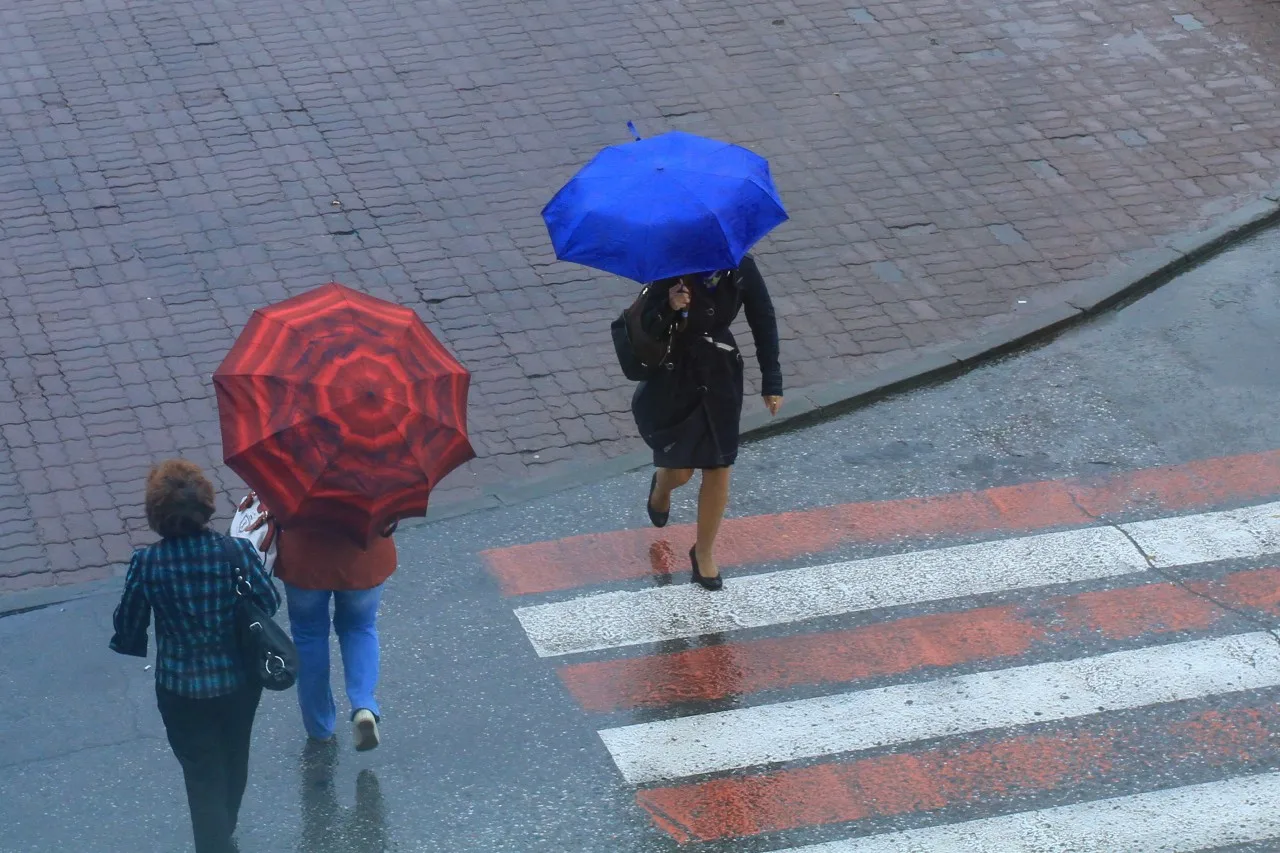 ⛈️ В Новосибирске ожидаются сильные дожди с грозами
