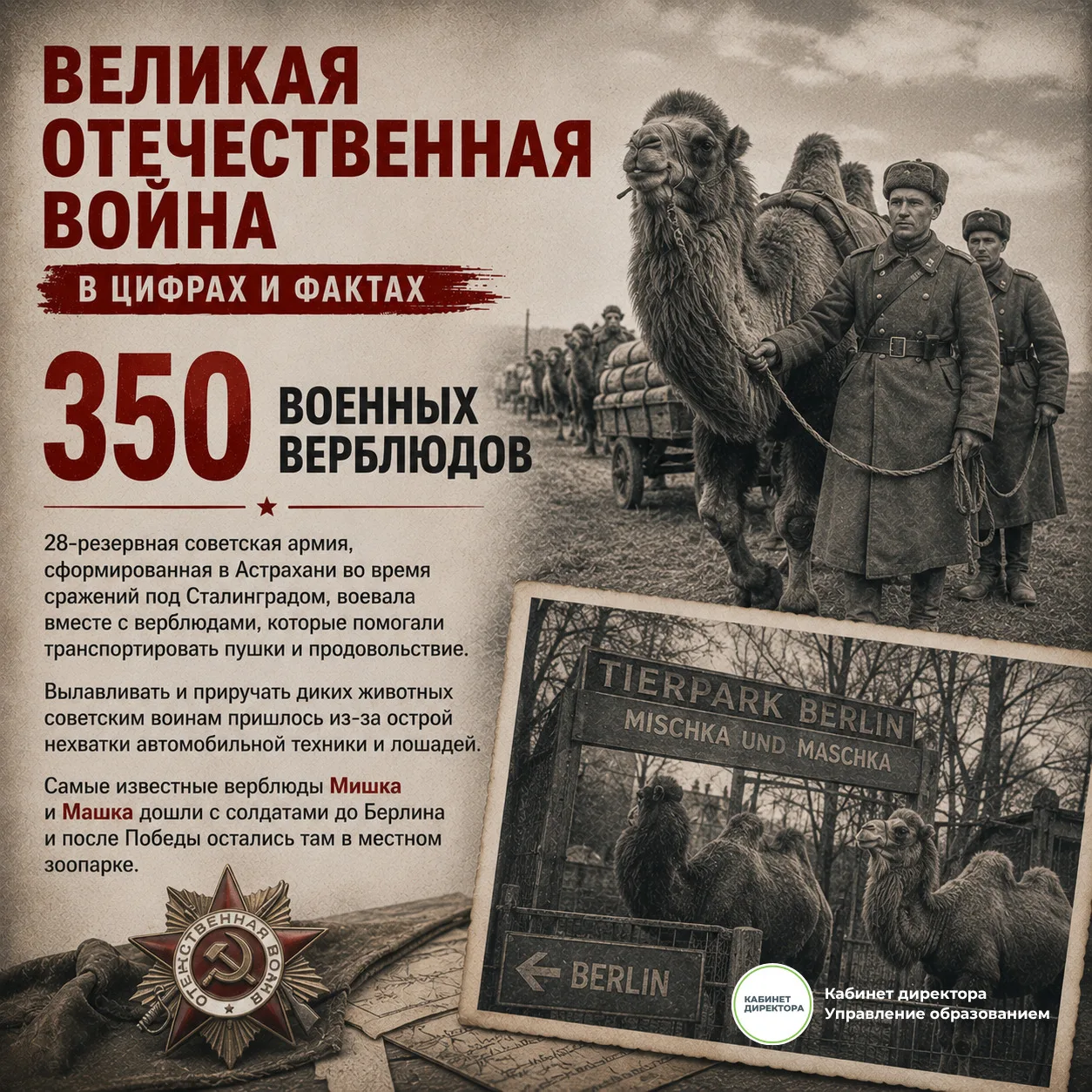 Великая Отечественная война в цифрах и фактах 🎖️