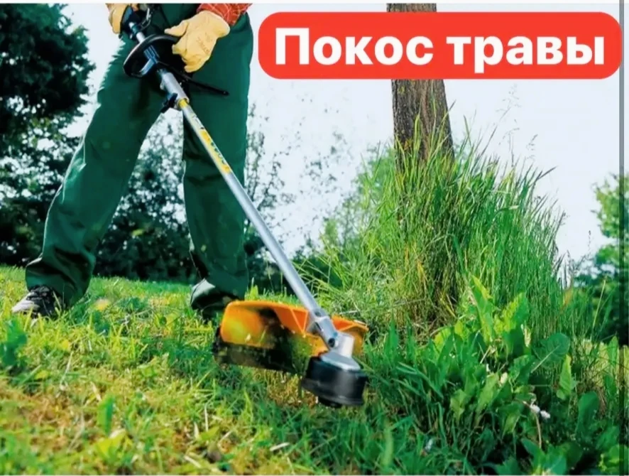 Покос травы на территории ООО "УК" ЖЭУ -6" осуществляется согласно графика с 15.06.2026 по 15.07.202