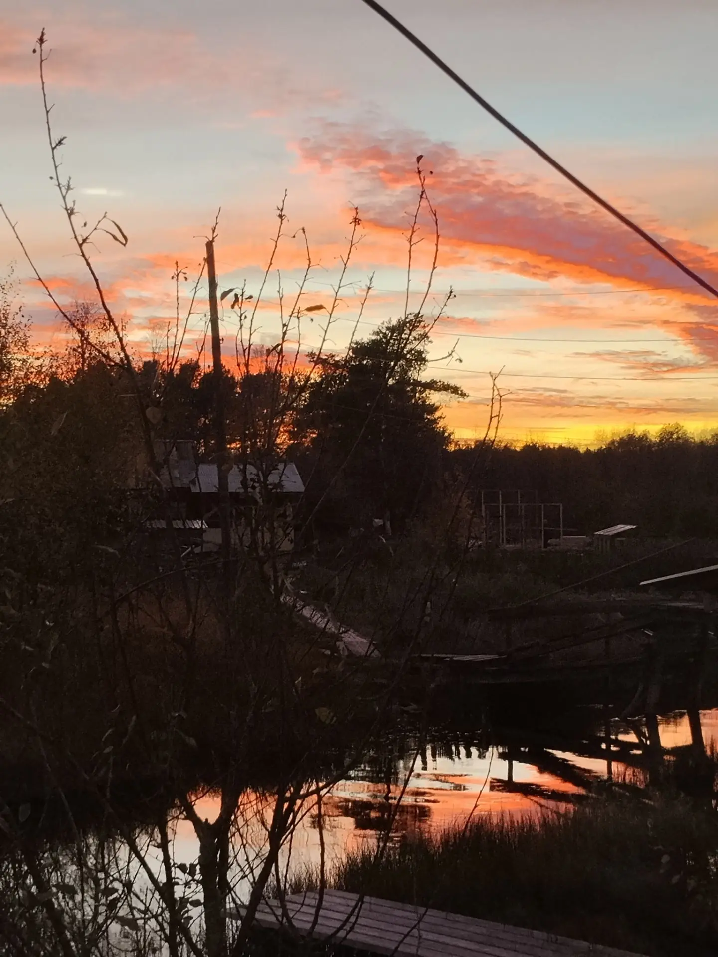 Яркий, красный закат сегодня. 🌄🌅