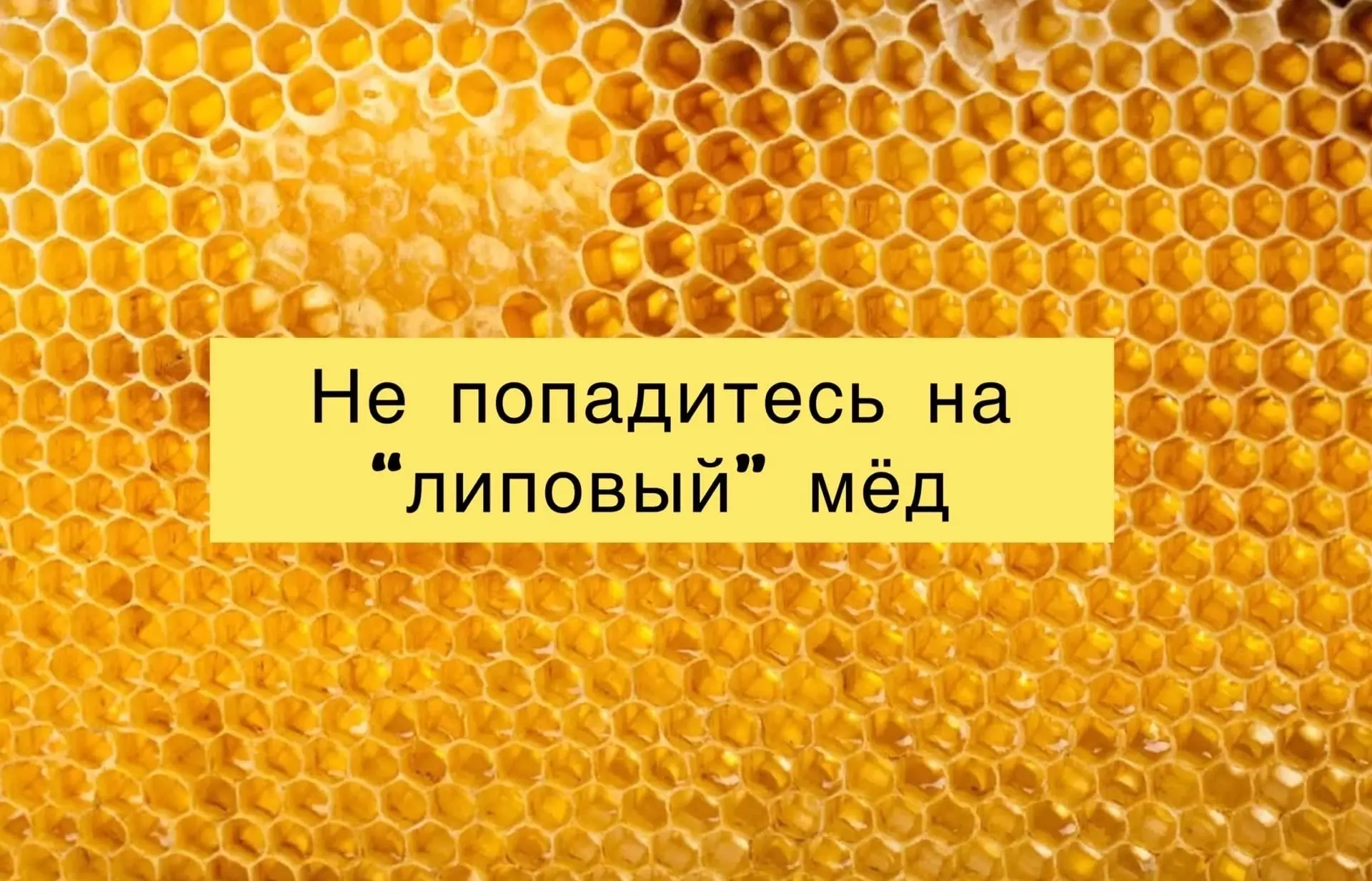 Доброго здоровья, друзья!