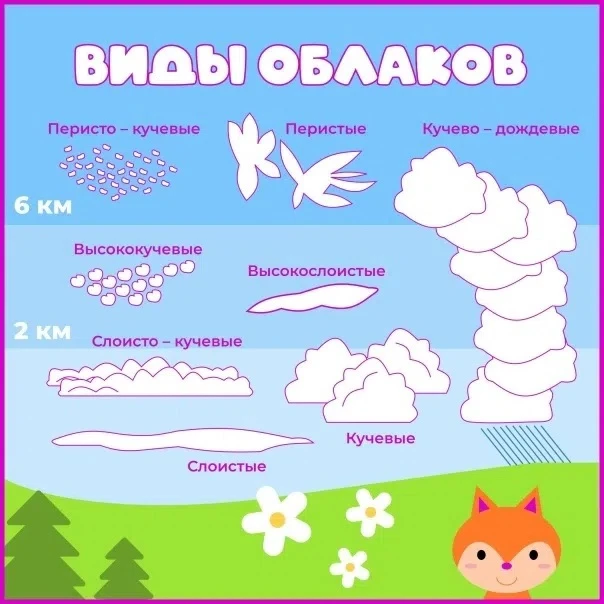 🌥Какие бывают облака?

Совместные прогулки становятся ещё интереснее, если вместе с ребёнком разгля