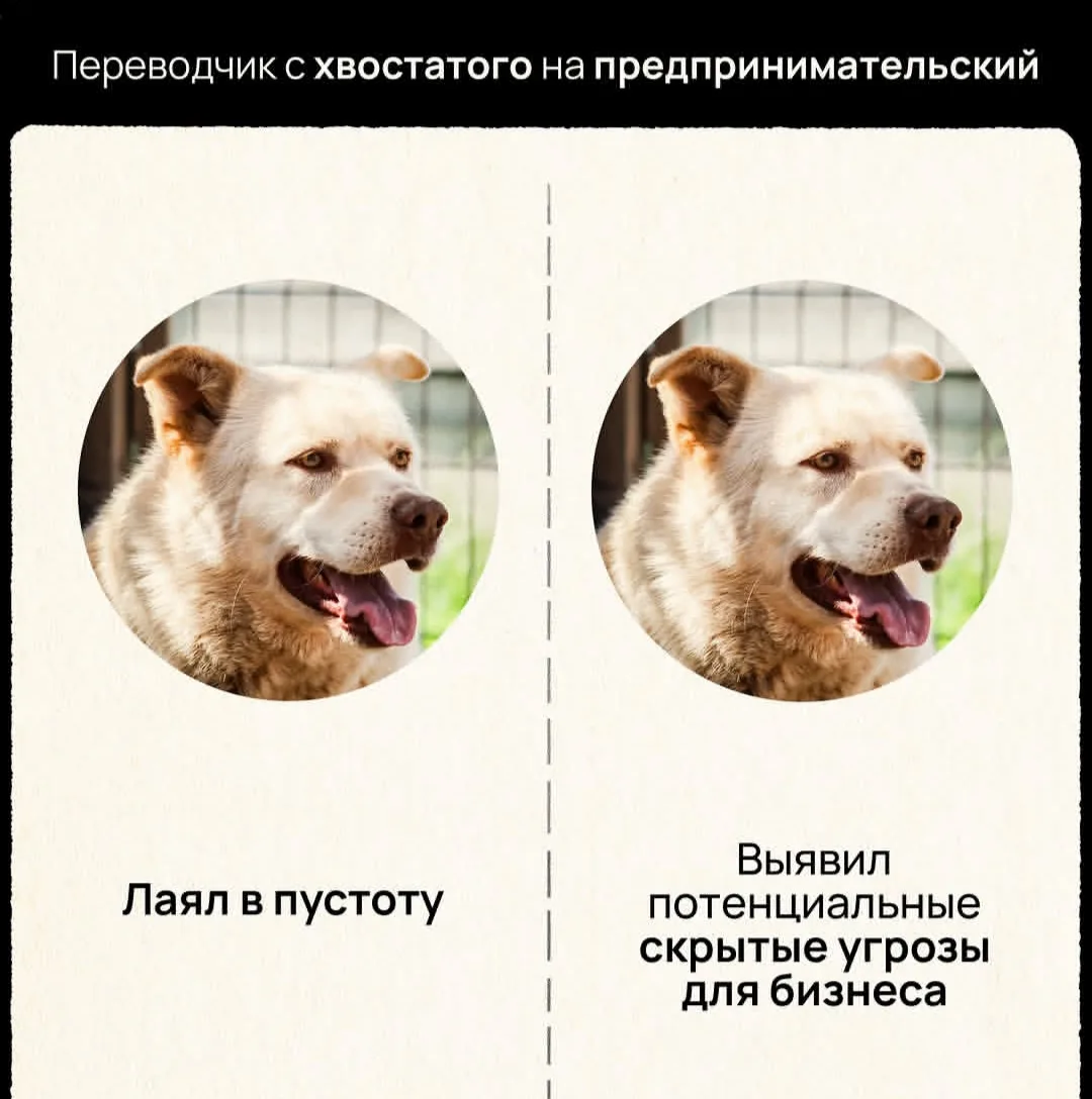 Вот и я всегда говорю, что вижу скрытые угрозы для бизнеса, а вы не верите 😆