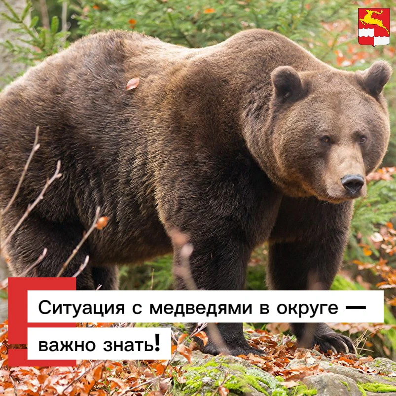 📢Вниманию жителей округа!