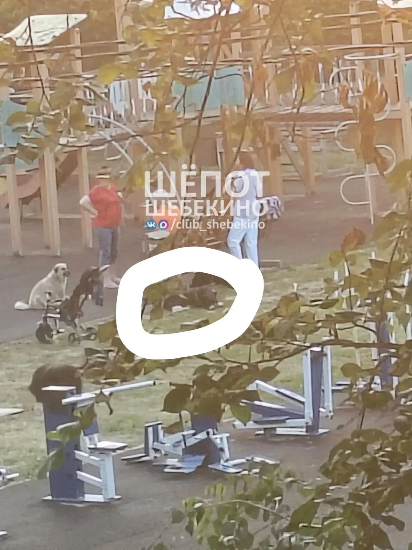 🐕 Вчера собака накинулась на двух девочек на спортплощадке в районе мелкомбината.