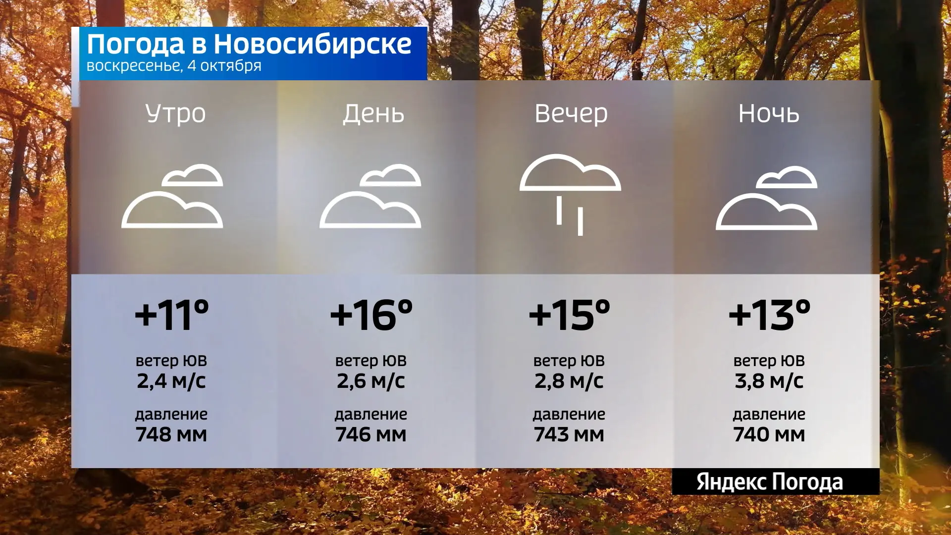 📌  Прогноз погоды на 4 октября 2026 года в Новосибирской области.
