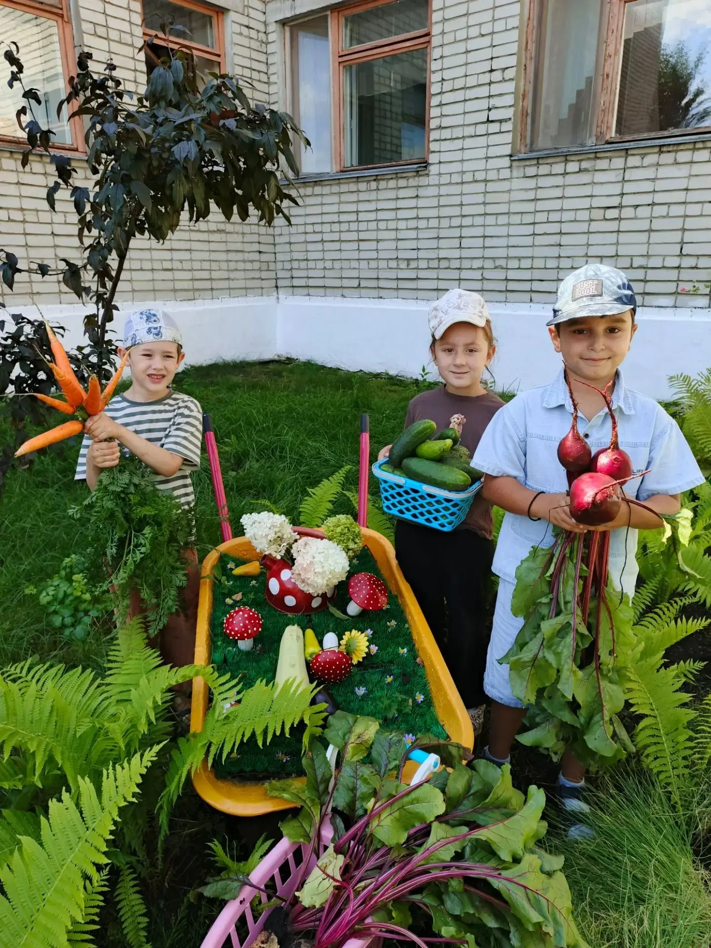 Ура, урожай! 🎉