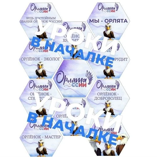 Гексы "Орлята России" на 18 листах формата А4.
Представлены гексы в двух размерах, один гекс на лист